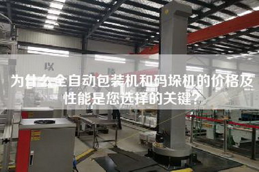 为什么全自动包装机和码垛机的价格及性能是您选择的关键？