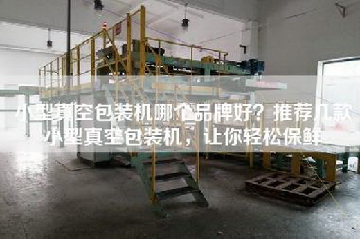 小型真空包装机哪个品牌好？推荐几款小型真空包装机，让你轻松保鲜
