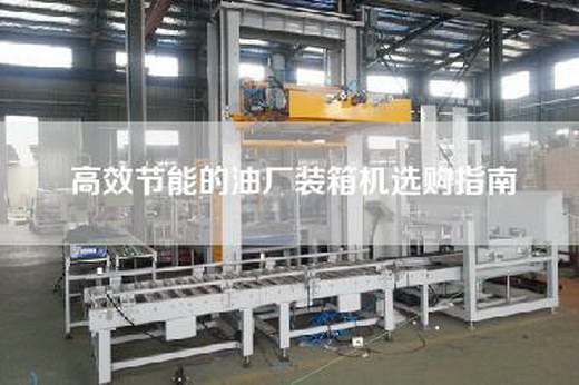 高效节能的油厂装箱机选购指南