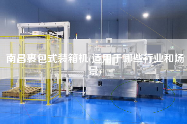 南昌裹包式装箱机(适用于哪些行业和场景)