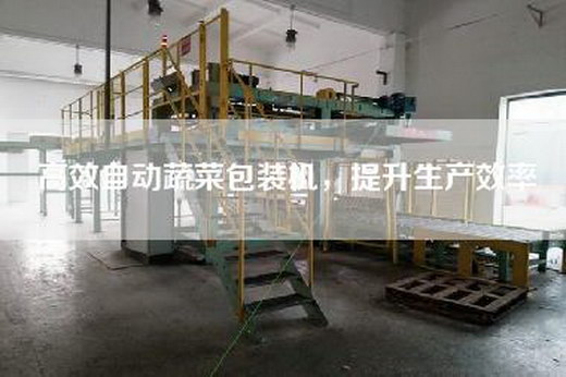 高效自动蔬菜包装机，提升生产效率