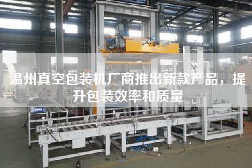 温州真空包装机厂商推出新款产品，提升包装效率和质量