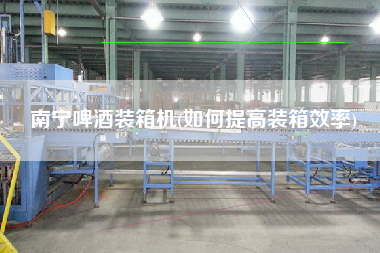 南宁啤酒装箱机(如何提高装箱效率)