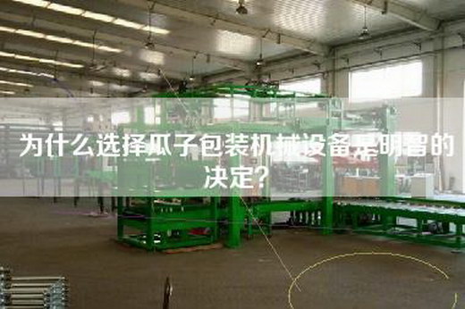 为什么选择瓜子包装机械设备是明智的决定？