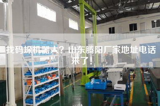 找码垛机器人？山东腾阳厂家地址电话来了！