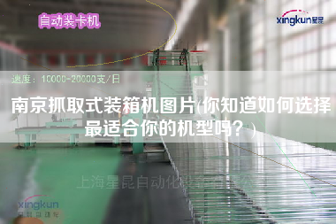 南京抓取式装箱机图片(你知道如何选择更适合你的机型吗)