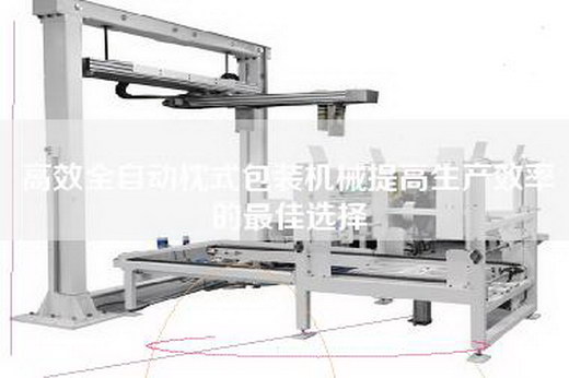 高效全自动枕式包装机械提高生产效率的最佳选择