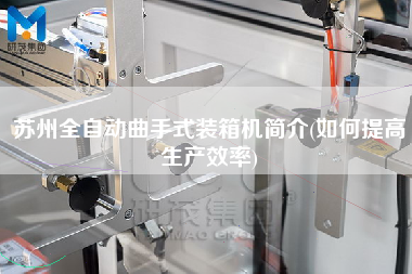 苏州全自动曲手式装箱机简介(如何提高生产效率)