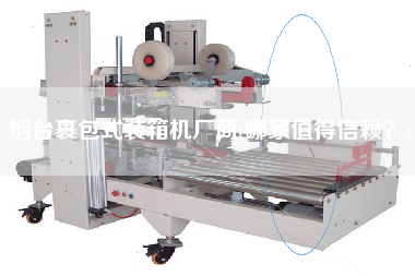 烟台裹包式装箱机厂商(哪家值得信赖)