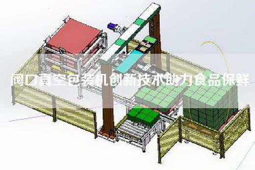 阀口真空包装机创新技术助力食品保鲜