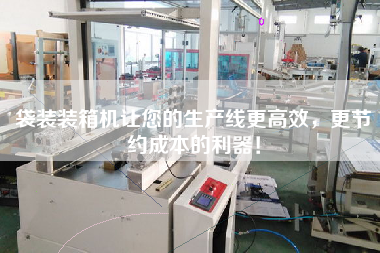 袋装装箱机让您的生产线更高效，更节约成本的利器！