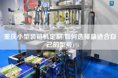 重庆小型装箱机定制(如何选择更适合自己的型号)
