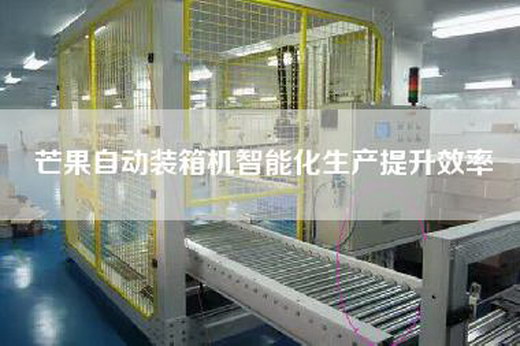 芒果自动装箱机智能化生产提升效率