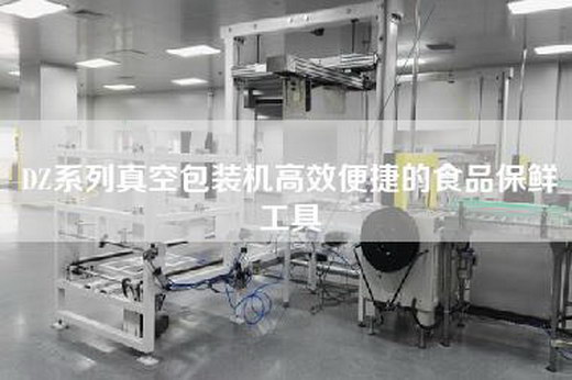 DZ系列真空包装机高效便捷的食品保鲜工具