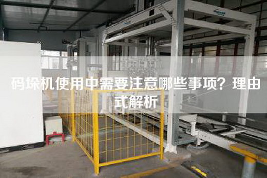 码垛机使用中需要注意哪些事项？理由式解析