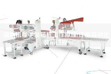 湖南机械手装箱机工作原理(详解自动化装箱过程) 湖南机械手装箱机工作原理(详解自动化装箱过程)