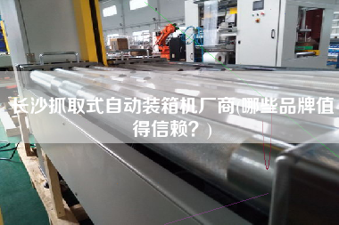长沙抓取式自动装箱机厂商(哪些品牌值得信赖)