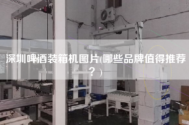 深圳啤酒装箱机图片(哪些品牌值得推荐)