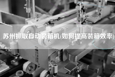 苏州抓取自动装箱机(如何提高装箱效率)